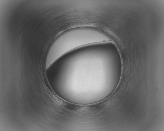 X0000075361169200609080831