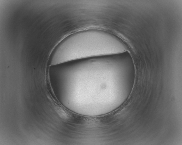 X0000075361170200609080831