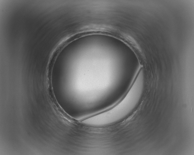X0000075361172200609080831
