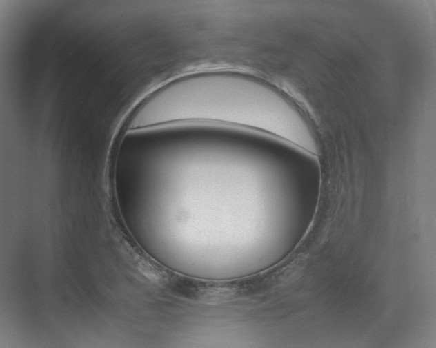 X0000075361173200609080831