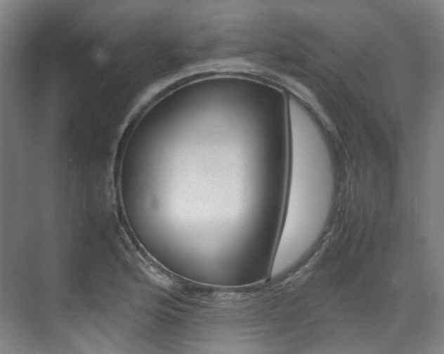 X0000075361176200609080831