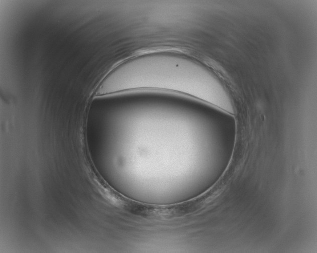 X0000075361177200609080831