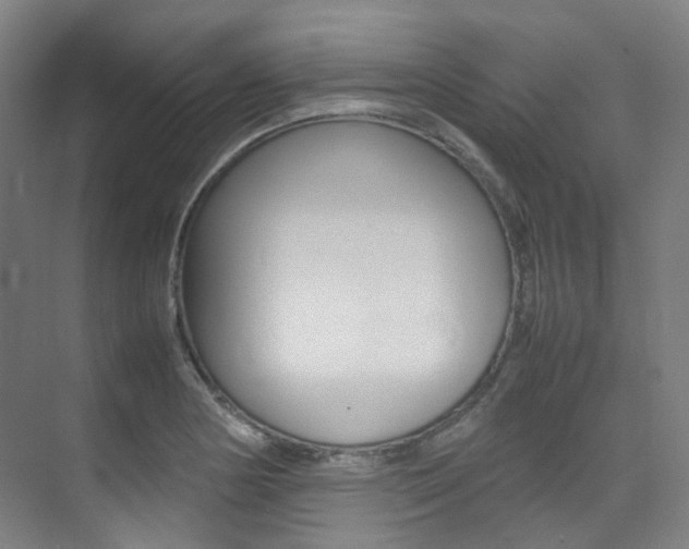 X0000075361178200609080831