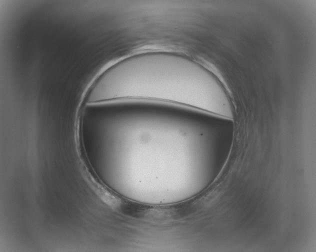 X0000075361179200609080831