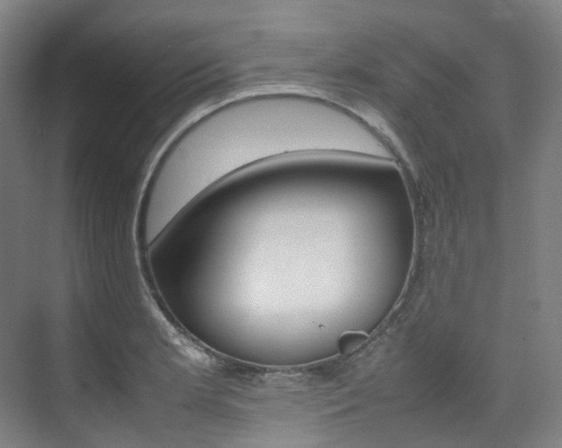 X0000075361181200609080831