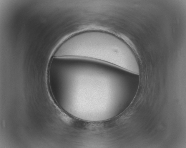 X0000075361183200609080831
