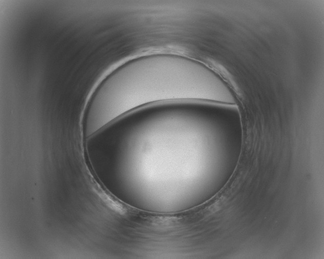 X0000075361184200609080831