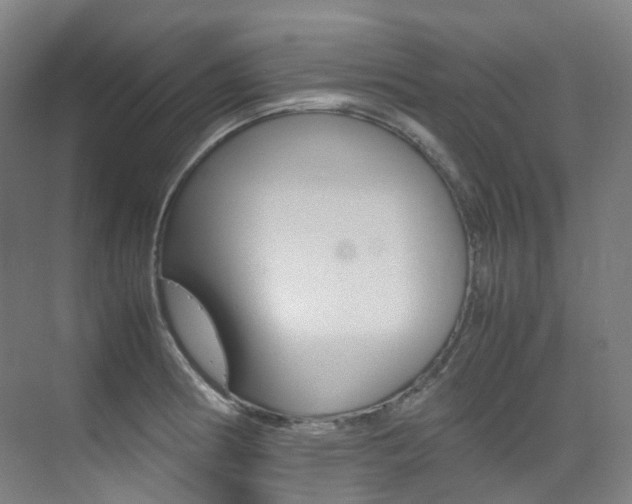 X0000075361186200609080831