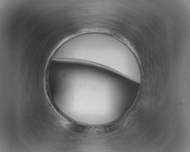X0000075361187200609080830