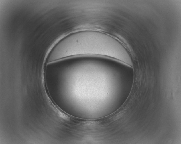 X0000075361188200609080830