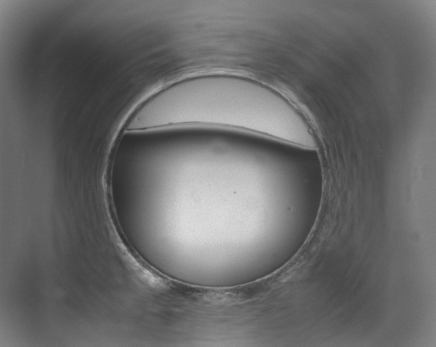 X0000075361189200609080830