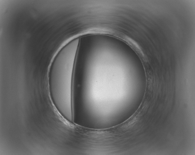 X0000075361192200609080830