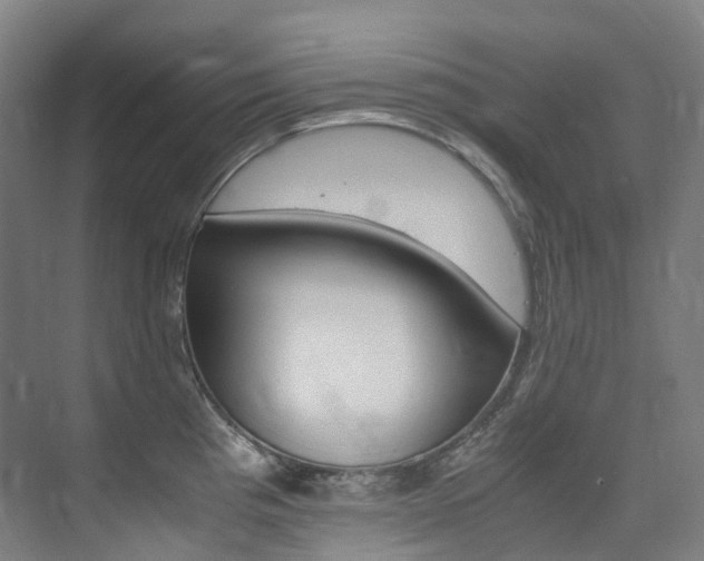 X0000075361193200609080830