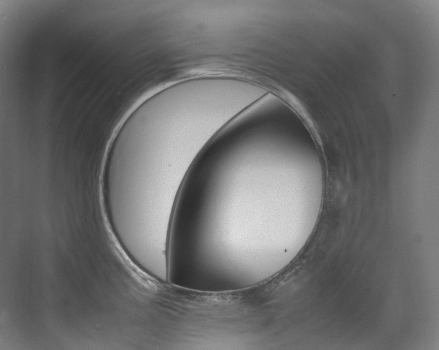 X0000075361195200609080830