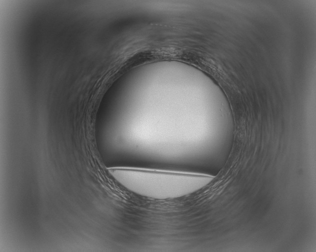 X0000075361201200609080829
