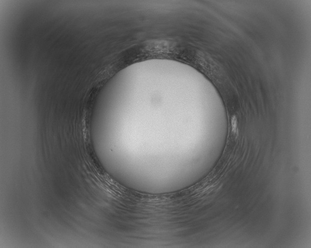 X0000075361203200609080829