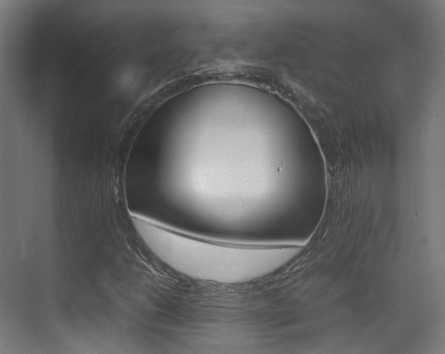 X0000075361206200609080830