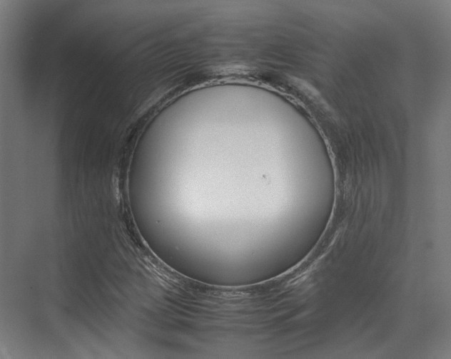 X0000075361209200609080830