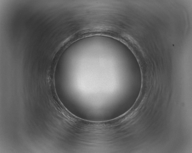 X0000075361210200609080830