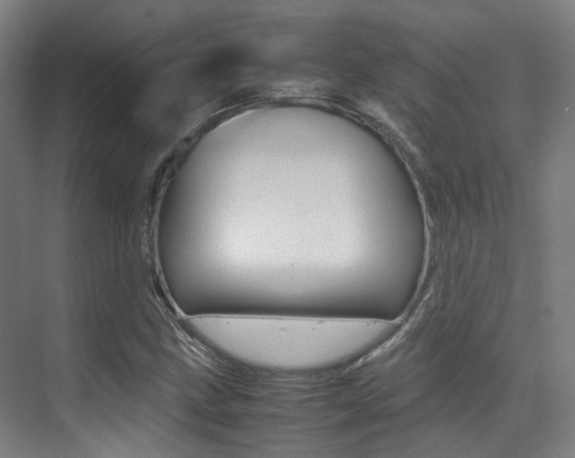 X0000075361211200609080830