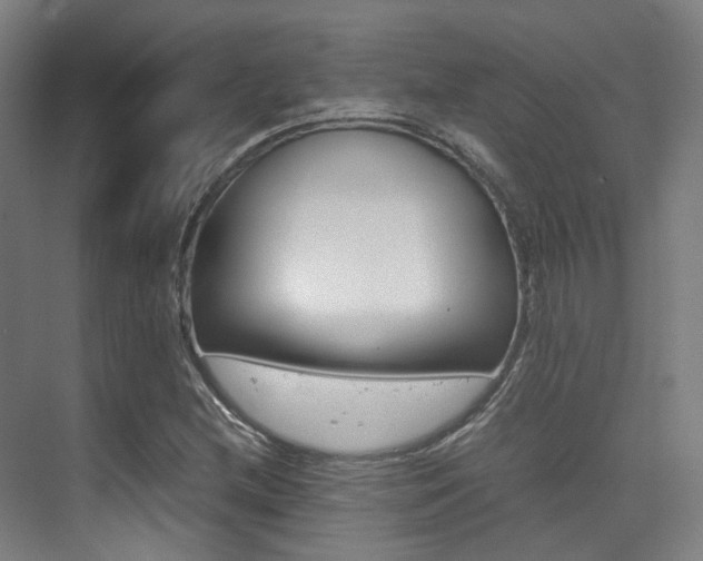 X0000075361212200609080830