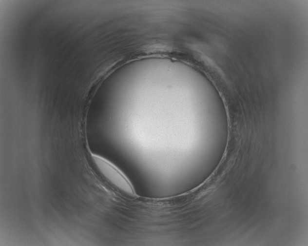 X0000075361217200609080830
