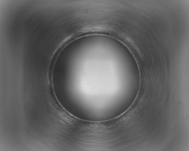 X0000075361218200609080830