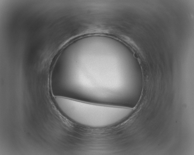 X0000075361220200609080830
