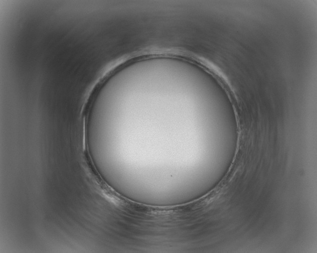 X0000075361223200609080830