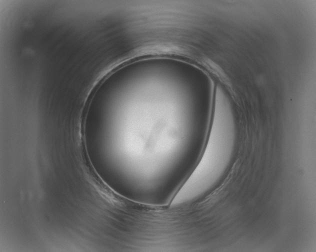 X0000075361226200609080830