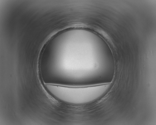 X0000075361229200609080830