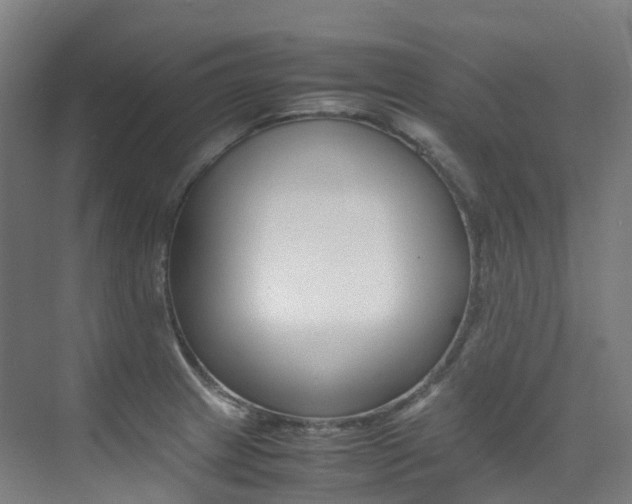 X0000075361233200609080830