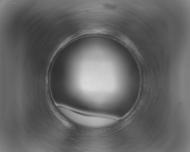X0000075361234200609080830