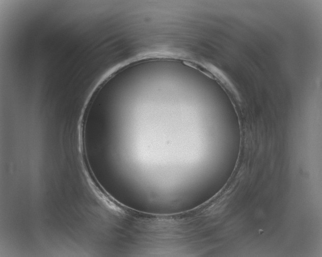 X0000075361238200609080830