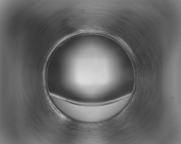 X0000075361246200609080830