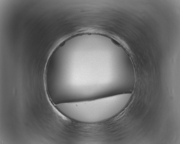 X0000075361247200609080830