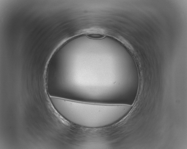 X0000075361248200609080830