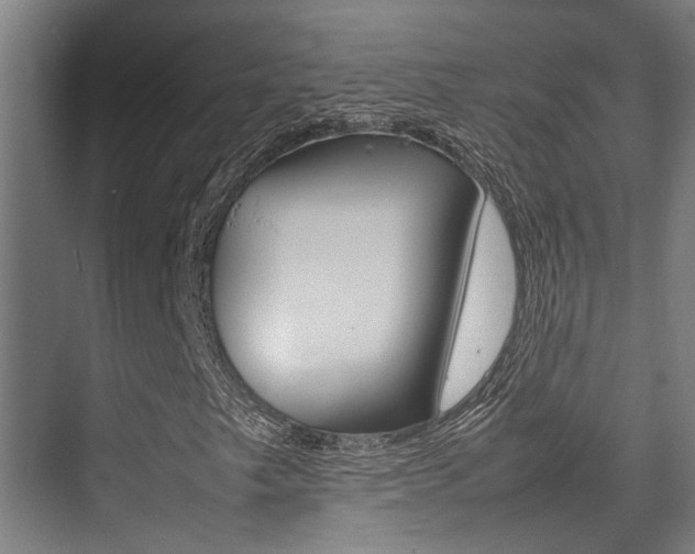 X0000075361249200609080829