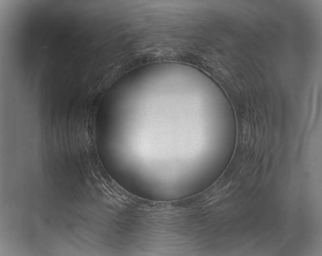 X0000075361250200609080829