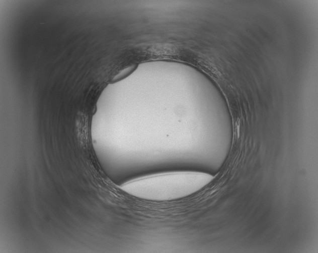 X0000075361251200609080829