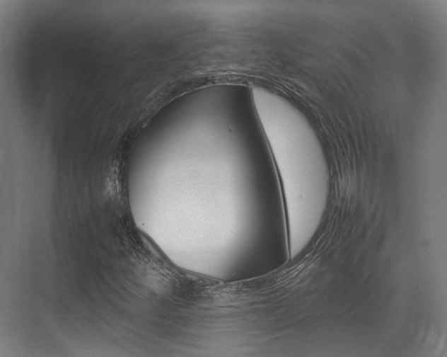 X0000075361252200609080829