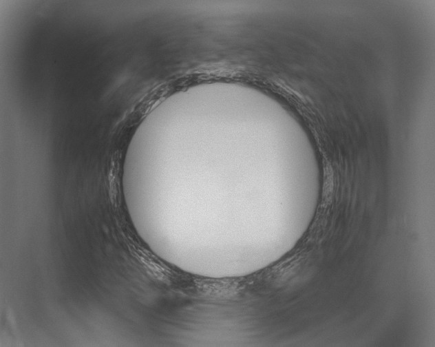 X0000075361254200609080829