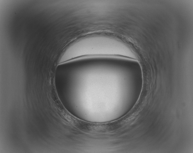 X0000075361257200609080829