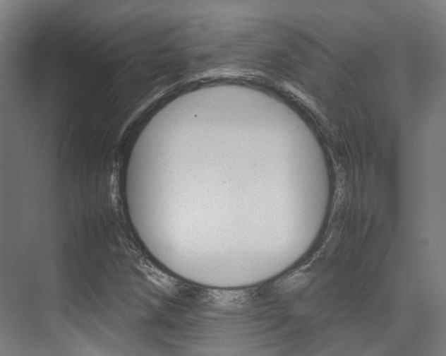 X0000075361258200609080829