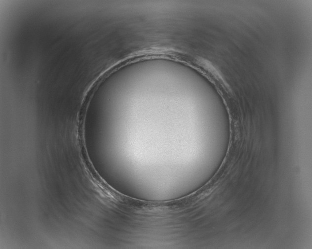 X0000075361260200609080829