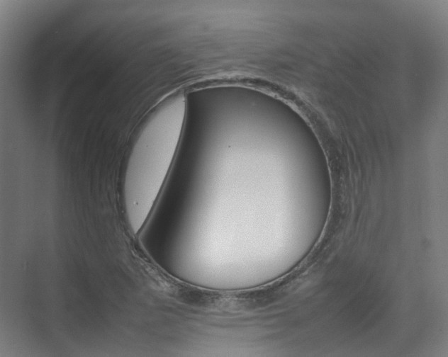 X0000075361265200609080829