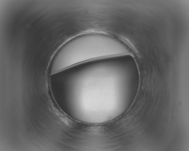 X0000075361268200609080829