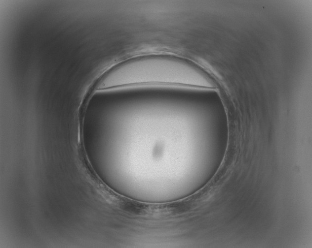 X0000075361269200609080829