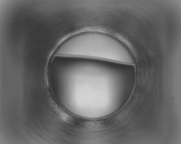 X0000075361272200609080829