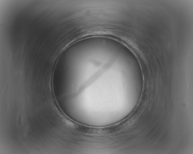 X0000075361273200609080829